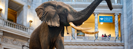 Smithsonian National Museum of Natural History