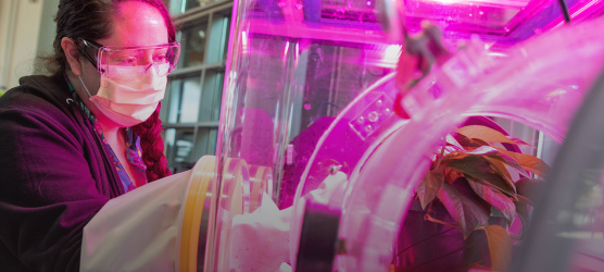 Center for Negative Carbon Emissions